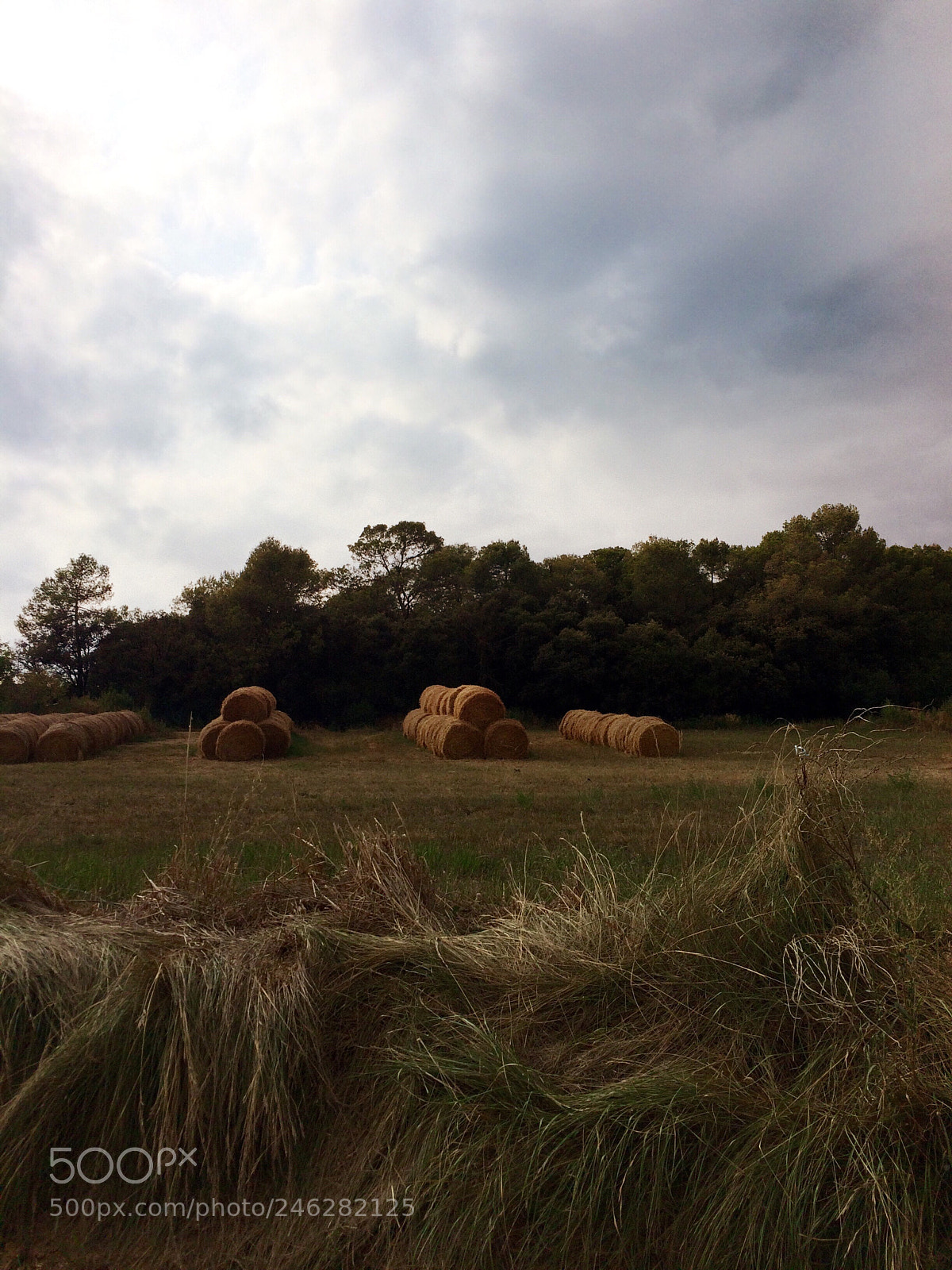 Apple iPhone 5s sample photo. Untitled photography