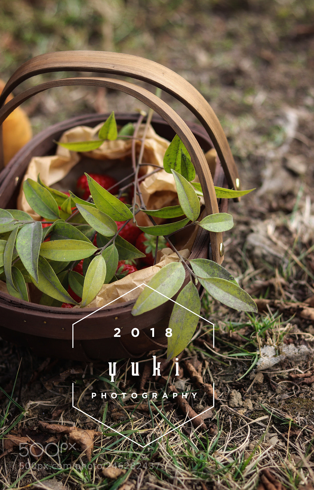 Canon EOS 77D (EOS 9000D / EOS 770D) sample photo. Untitled photography