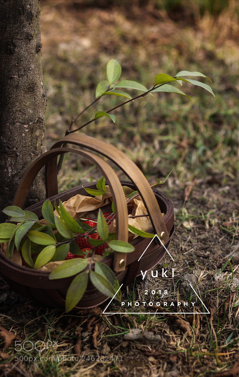 Canon EOS 77D (EOS 9000D / EOS 770D) sample photo. Untitled photography