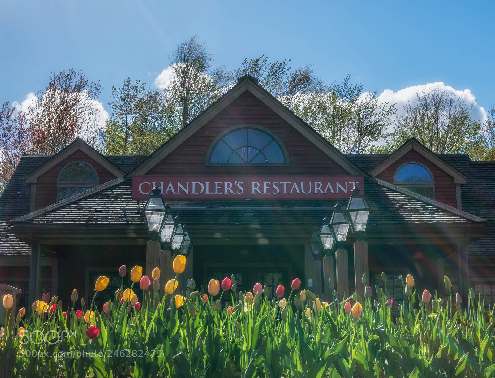 Sony Alpha NEX-6 sample photo. Rip chandlers photography