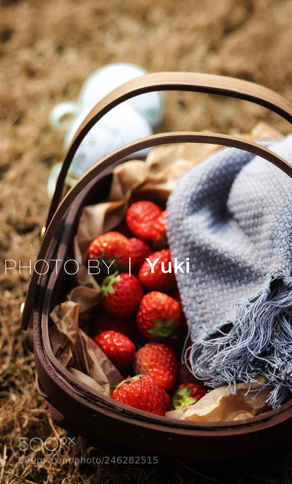 Canon EOS 77D (EOS 9000D / EOS 770D) sample photo. Untitled photography
