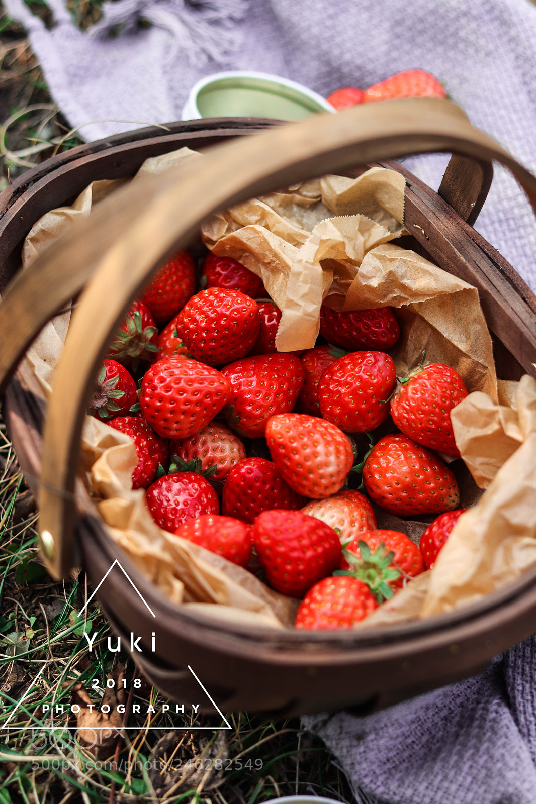 Canon EOS 77D (EOS 9000D / EOS 770D) sample photo. Untitled photography