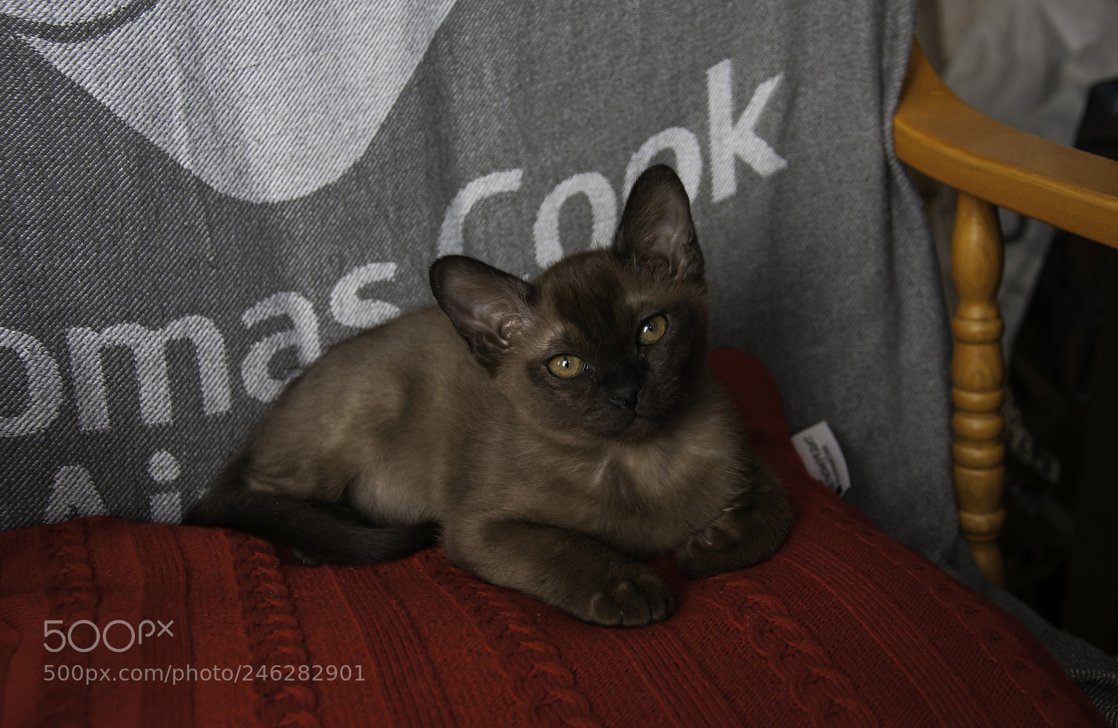 Nikon D300S sample photo. Bramsel photography