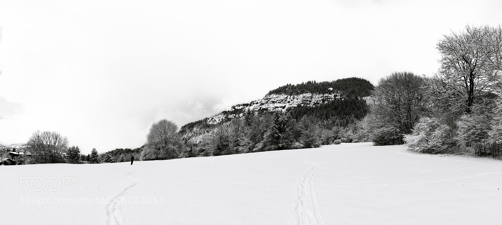 Nikon D610 sample photo. Winter panorama photography