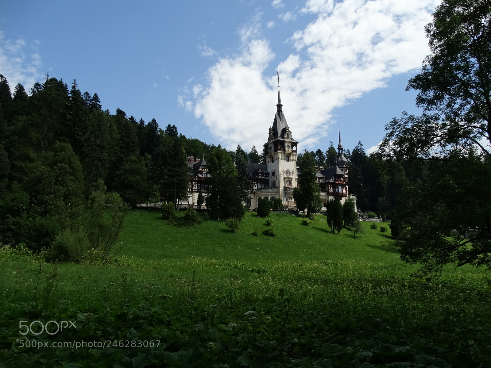 Sony Cyber-shot DSC-HX300 sample photo. Peles castle photography