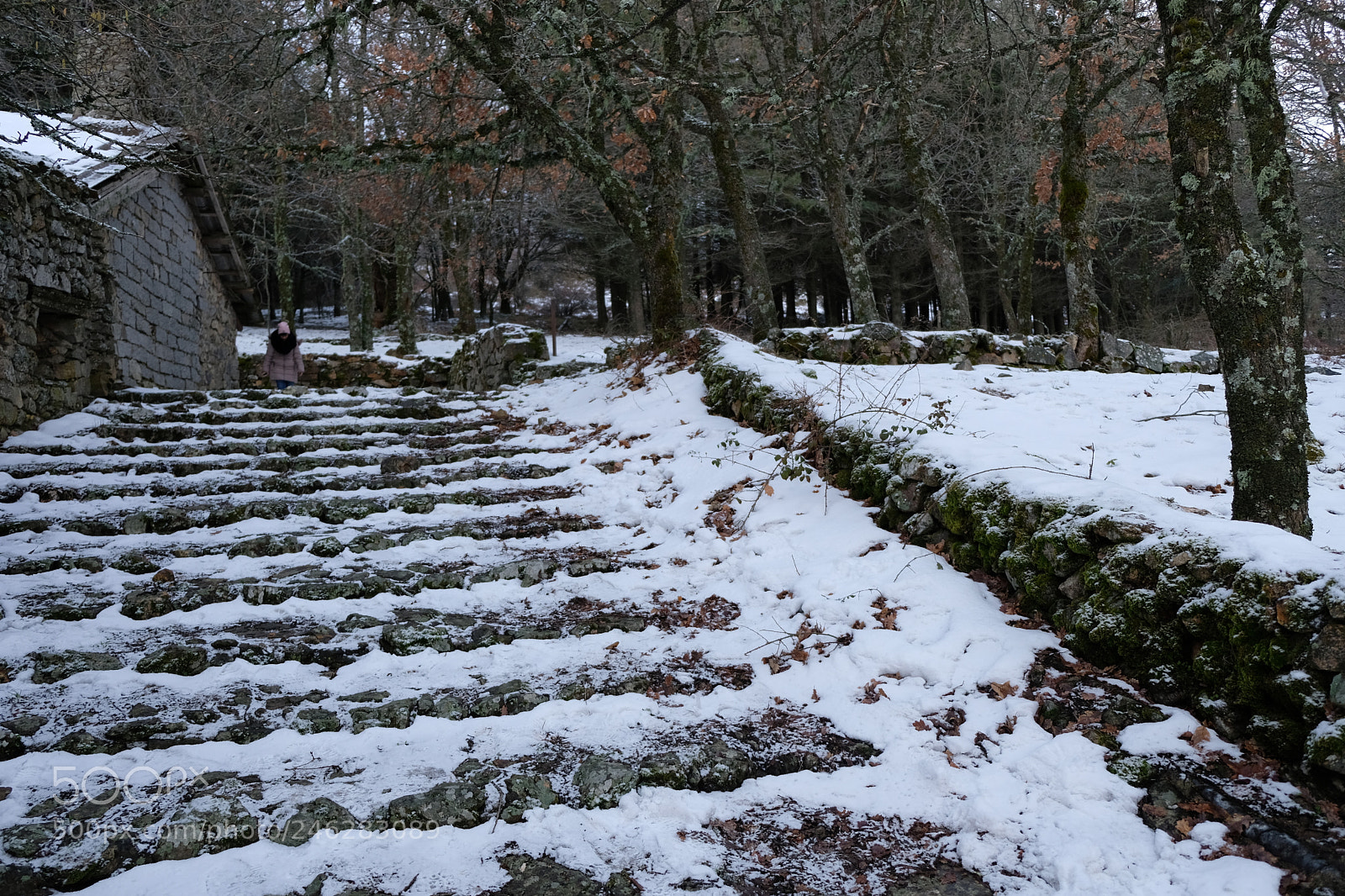 Fujifilm X-T20 sample photo. Snow photography