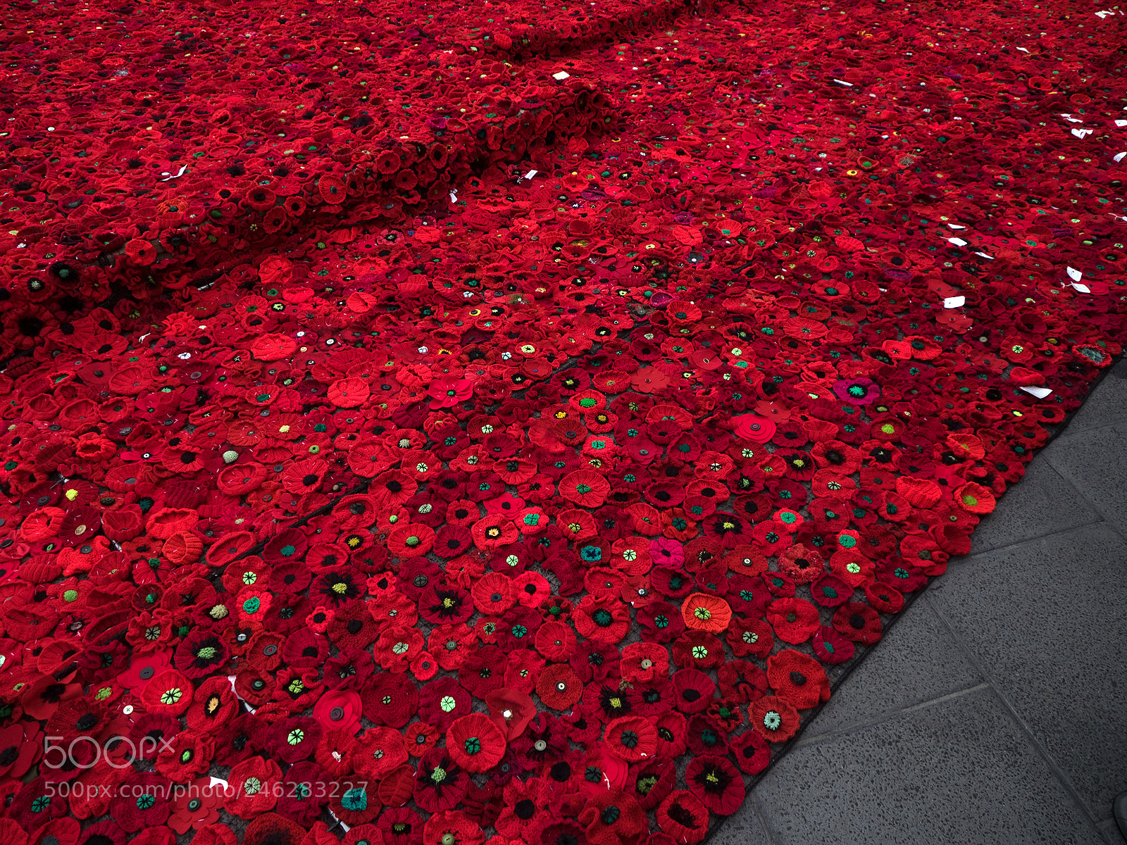 Olympus OM-D E-M1 sample photo. Poppies in remembrance photography