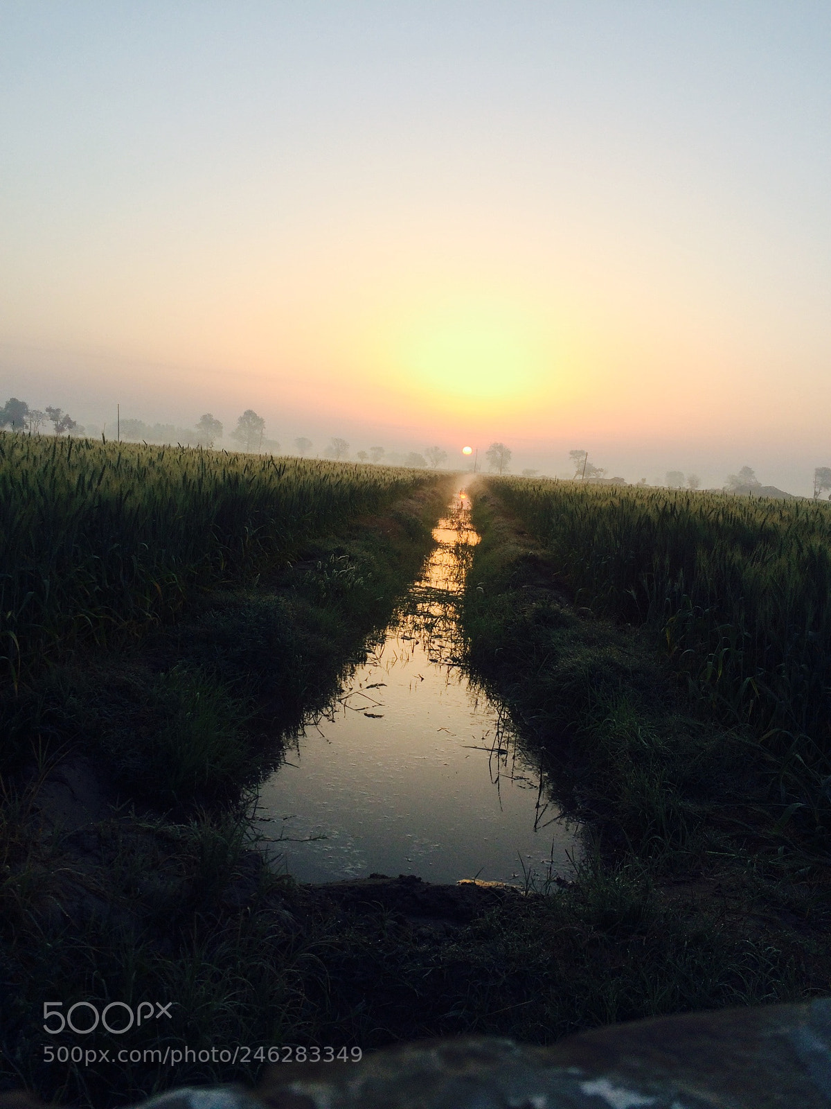 Apple iPhone 5s sample photo. C ead ce bfdda photography