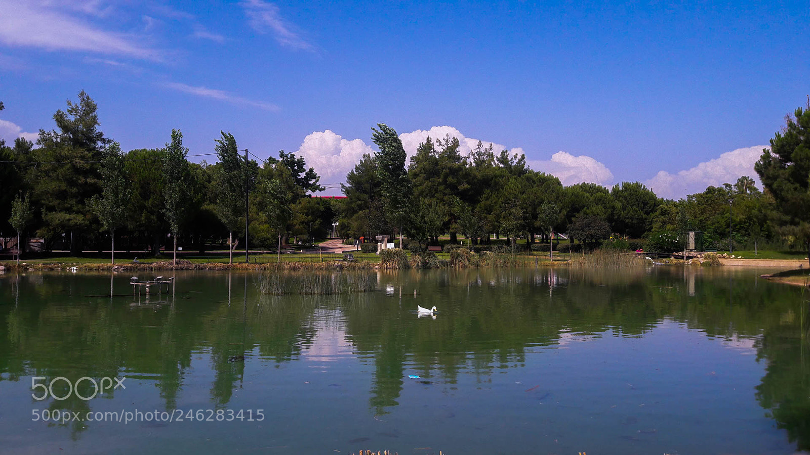 Samsung Galaxy J7 sample photo. Pond photography