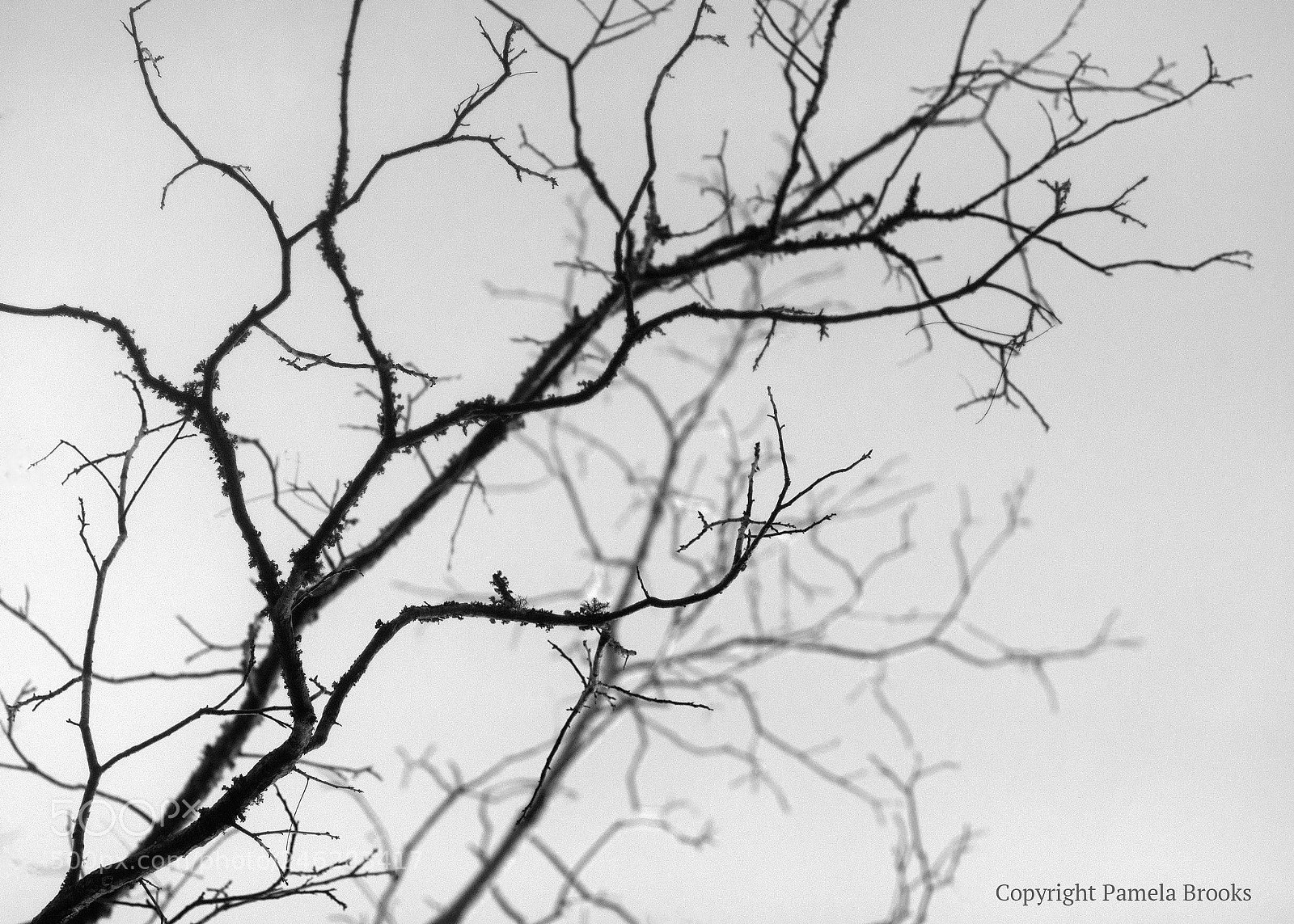 Nikon D90 sample photo. Layers photography