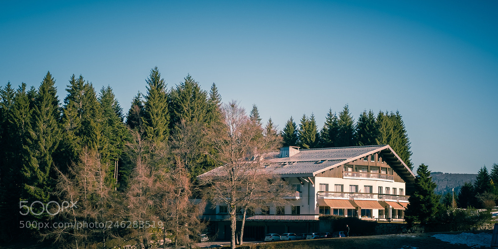 Fujifilm X-T20 sample photo. Ventron photography