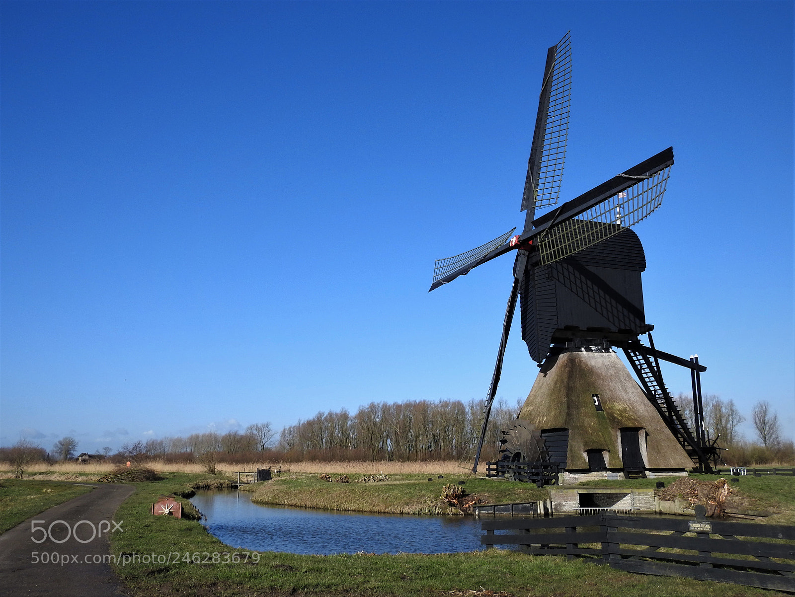 Nikon Coolpix P900 sample photo. Dutch landscape photography