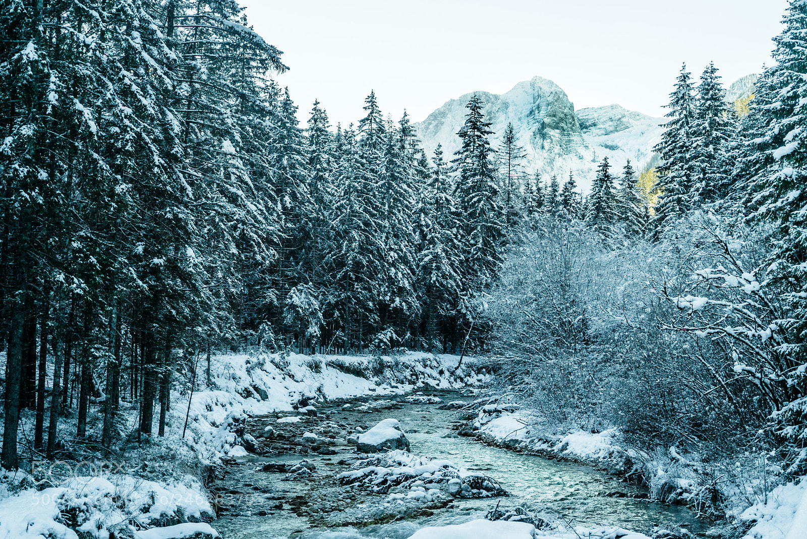 Sony a7S II sample photo. Slovenian winter wonderland photography