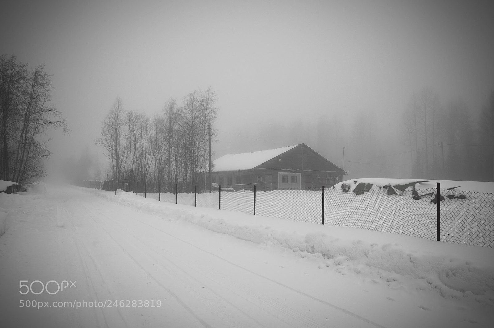 Nikon D3200 sample photo. Winter mist photography