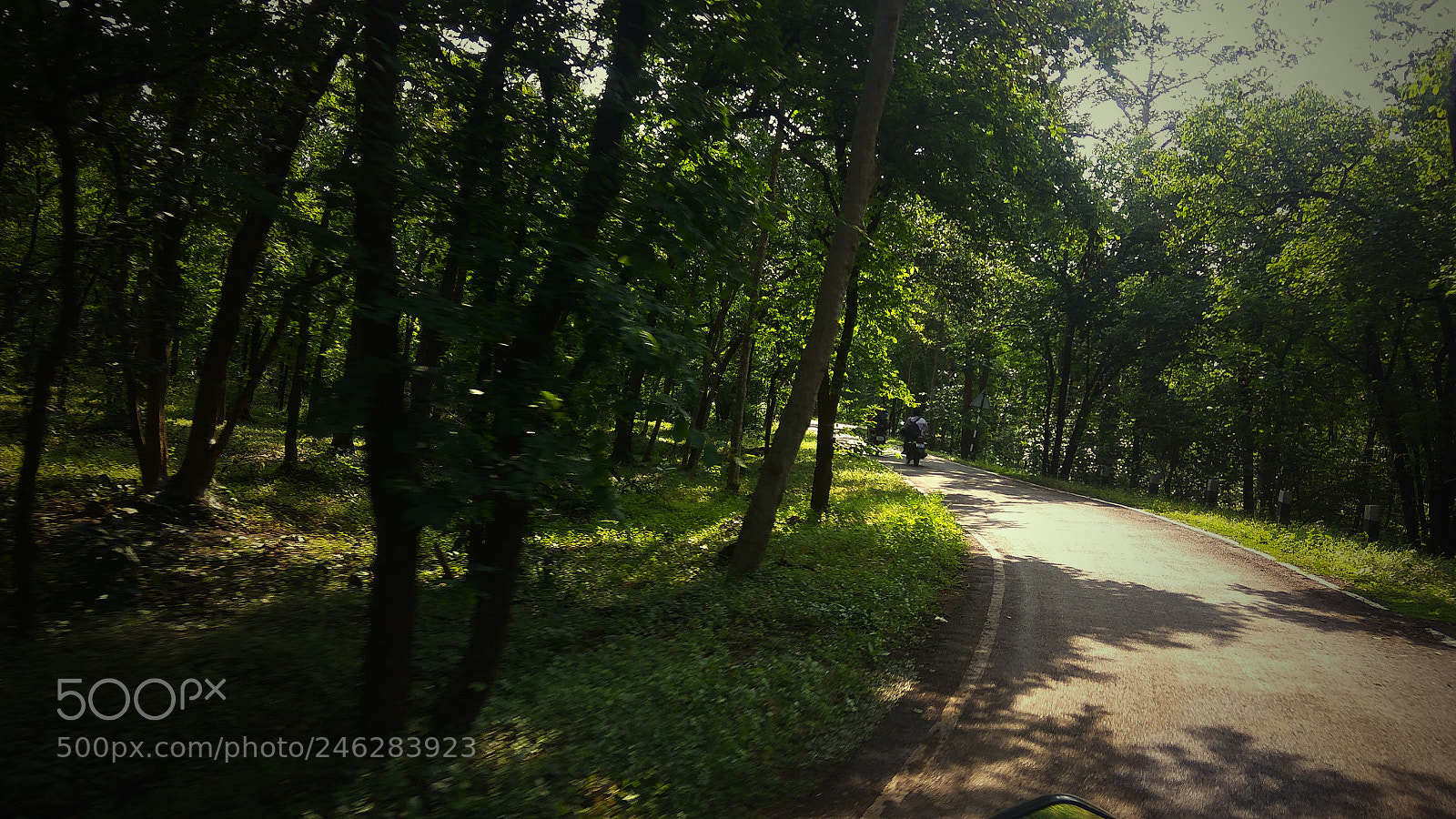 Xiaomi Redmi Note3 sample photo. Forest road photography
