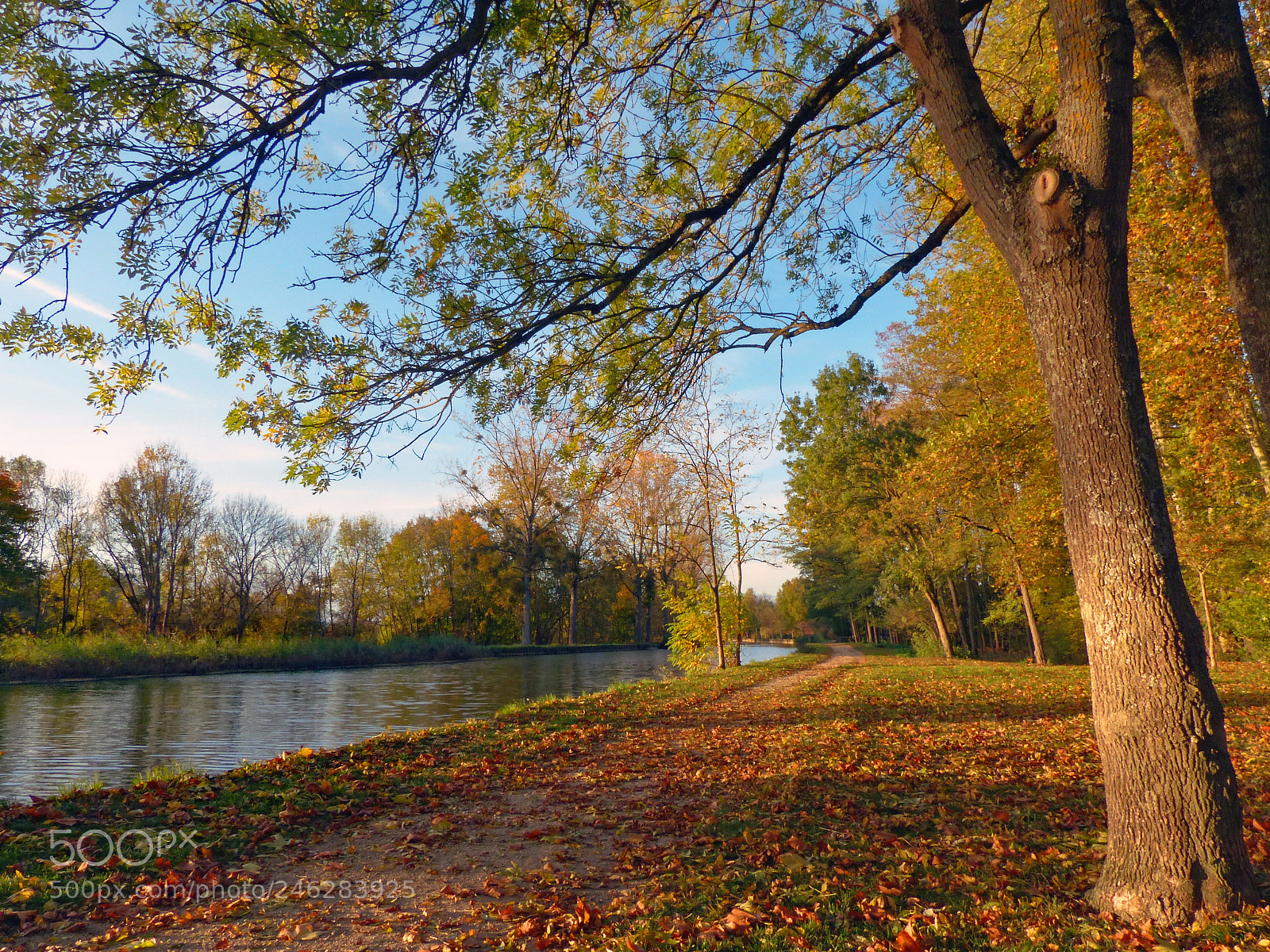 Panasonic Lumix DMC-FZ200 sample photo. Canal du centre pr photography