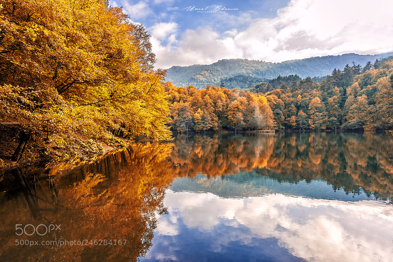 Nikon D810 sample photo. Colors of nature 13 photography