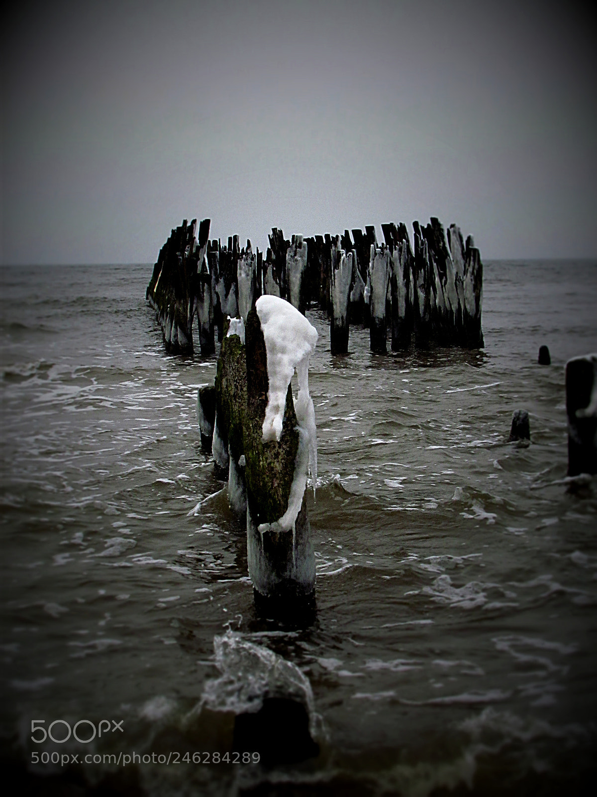 Canon PowerShot SX30 IS sample photo. Baltic sea photography