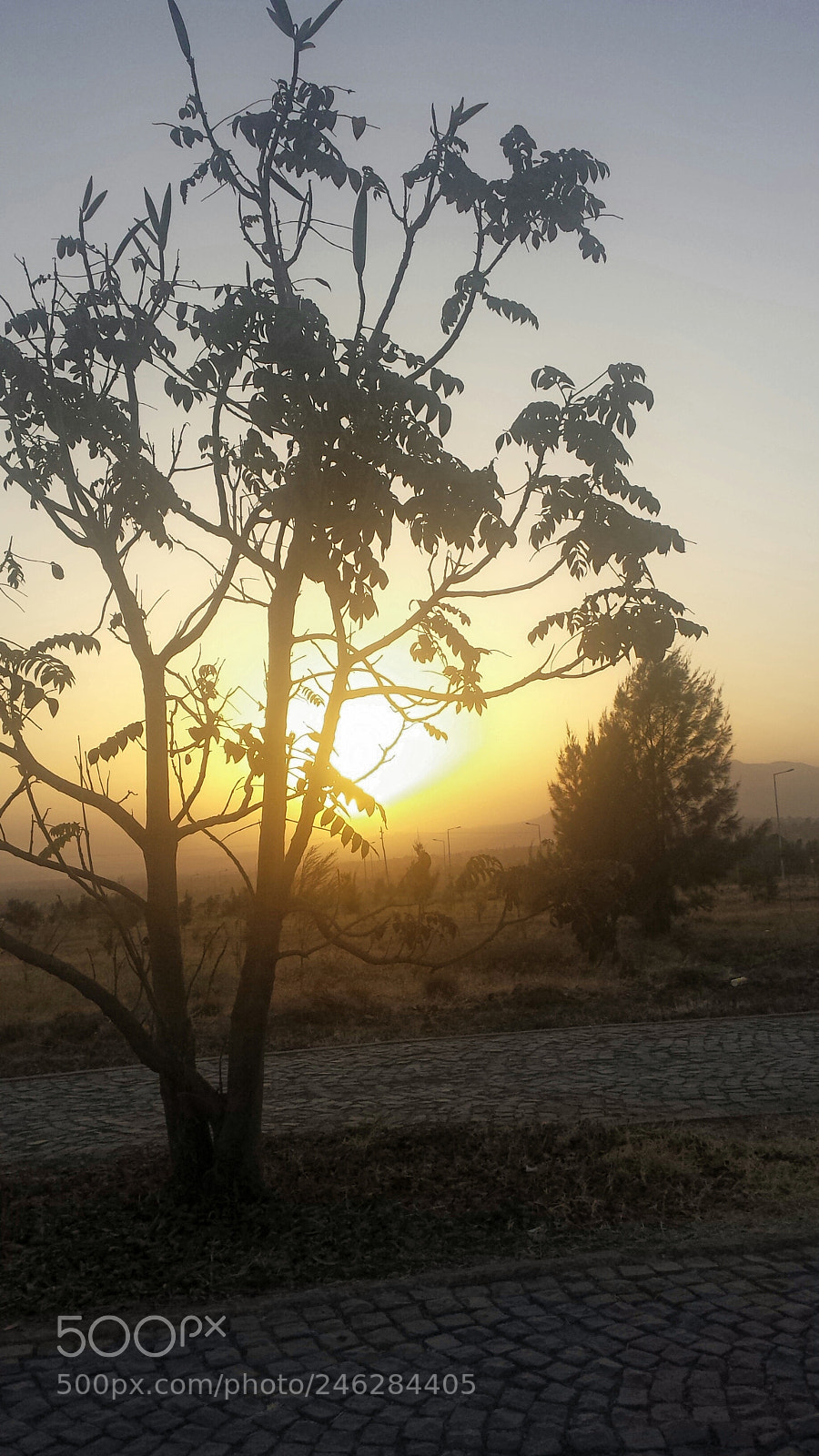 Samsung Galaxy S4 sample photo. Untitled photography