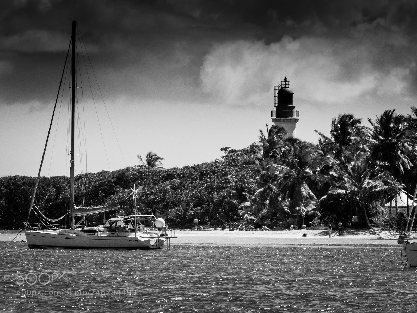 Panasonic Lumix DMC-FZ200 sample photo. Gosier in black and photography