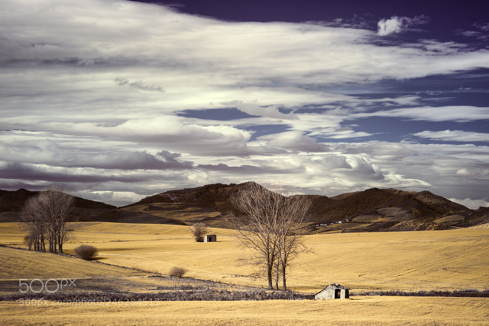 Canon EOS 5D sample photo. Ardanaz (izagaondoa) photography