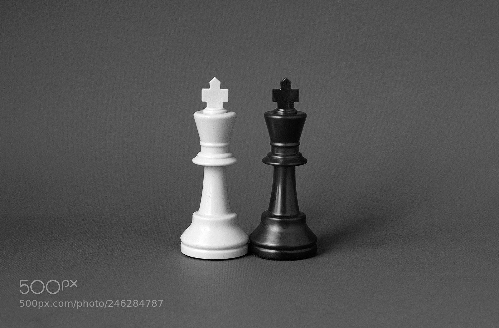 Pentax K-3 sample photo. The kings! photography
