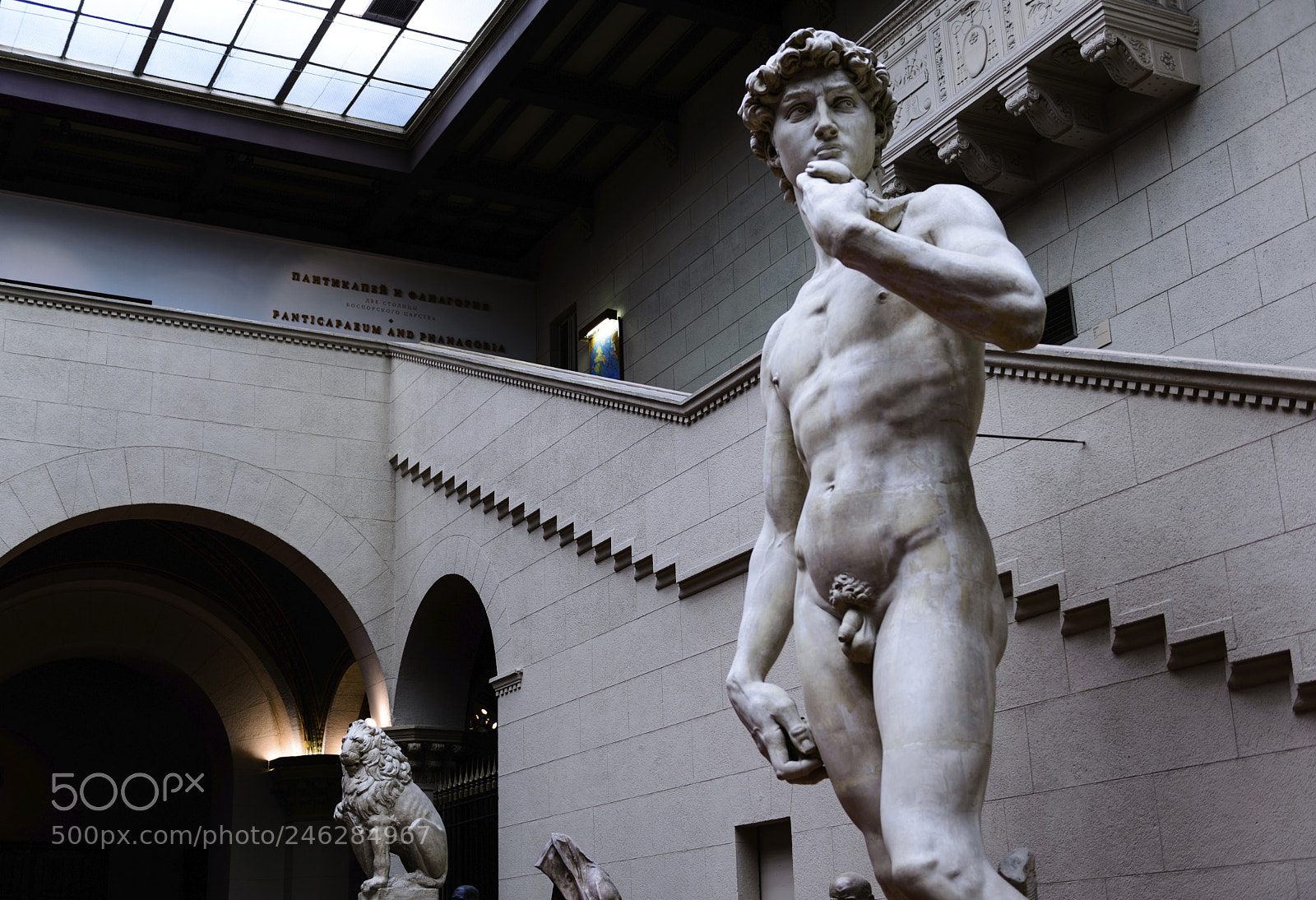 Nikon D600 sample photo. Apollo photography
