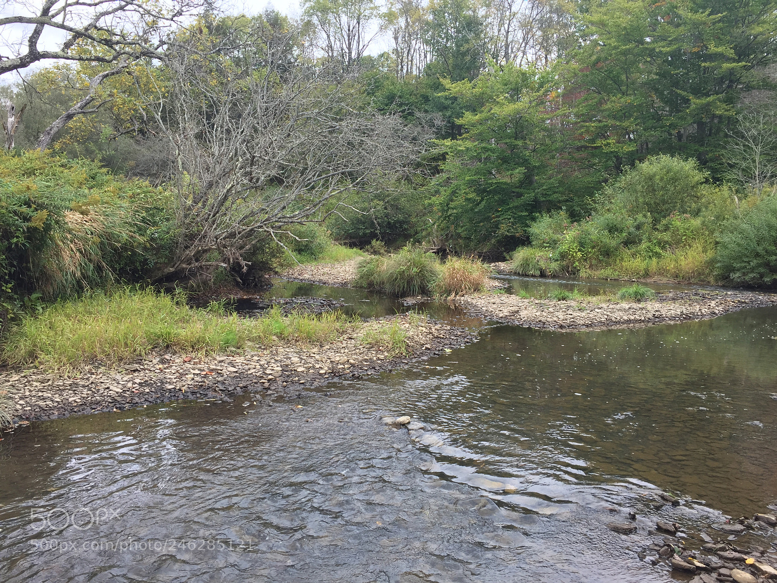 Apple iPhone 6 sample photo. Creek photography