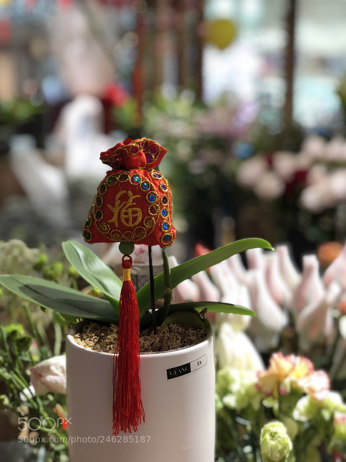 Apple iPhone X sample photo. 福 photography