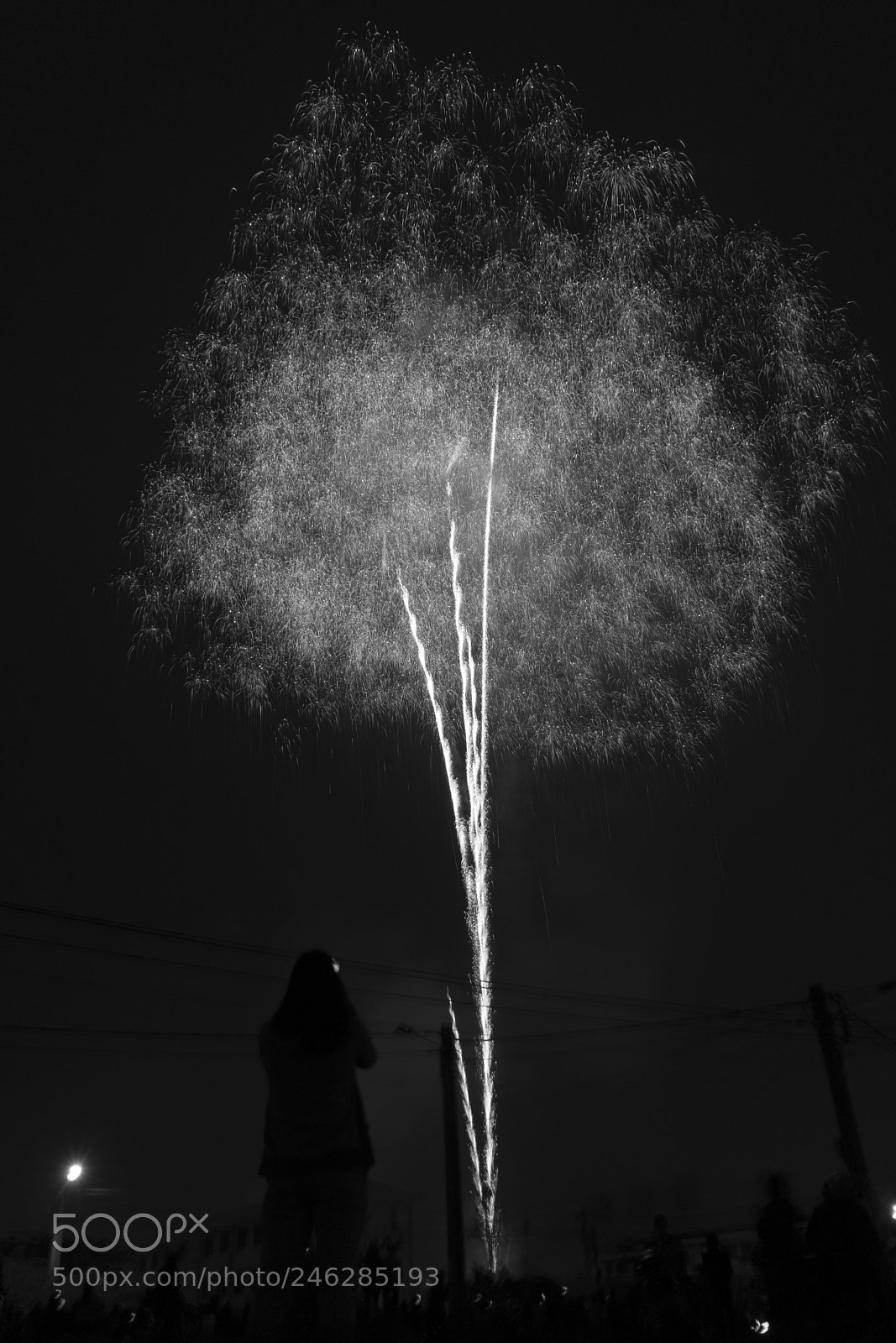 Sony a7 II sample photo. Happy lunar new year 2018! photography