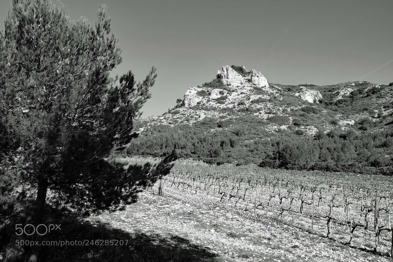 Fujifilm X-T20 sample photo. Les alpilles bouches du photography