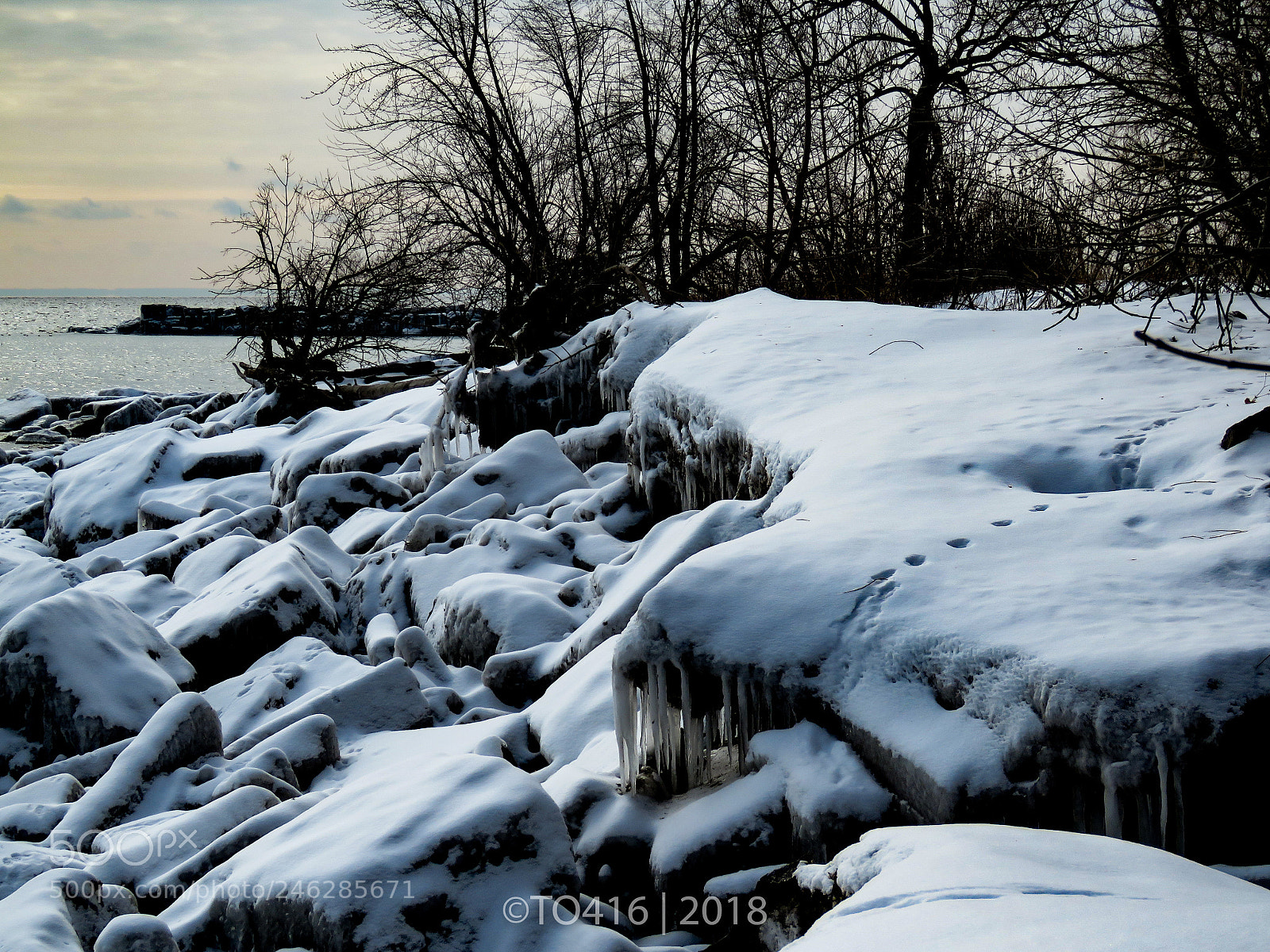 Canon PowerShot SX60 HS sample photo. Frozen photography
