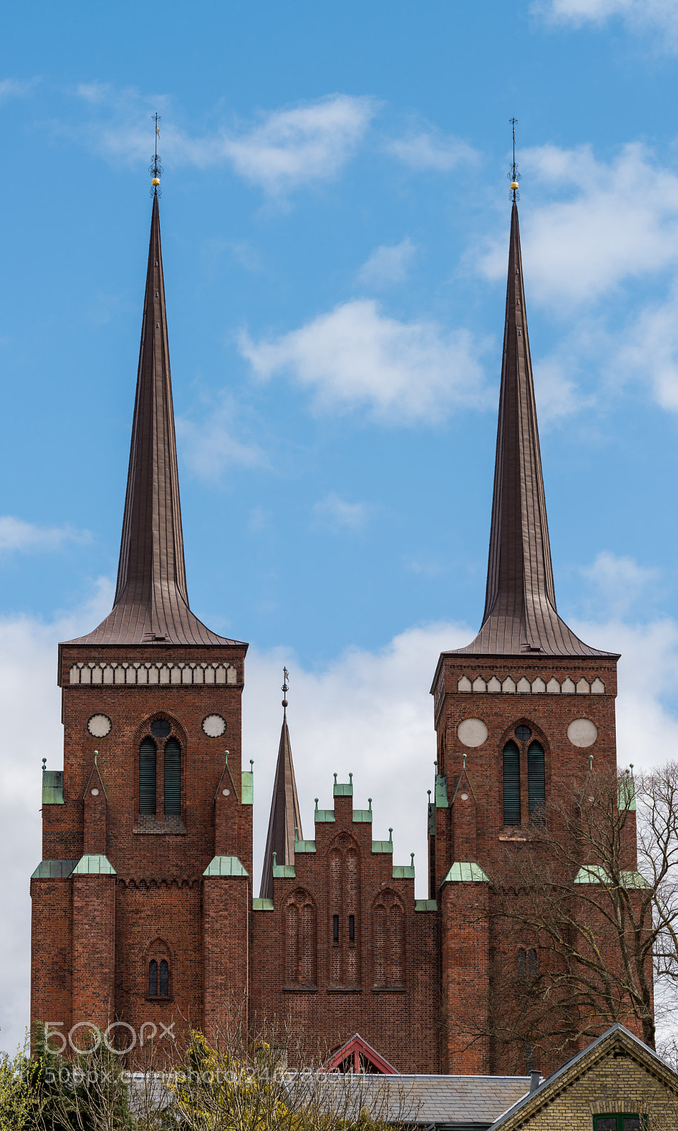 Nikon D810 sample photo. Roskilde cathedral photography
