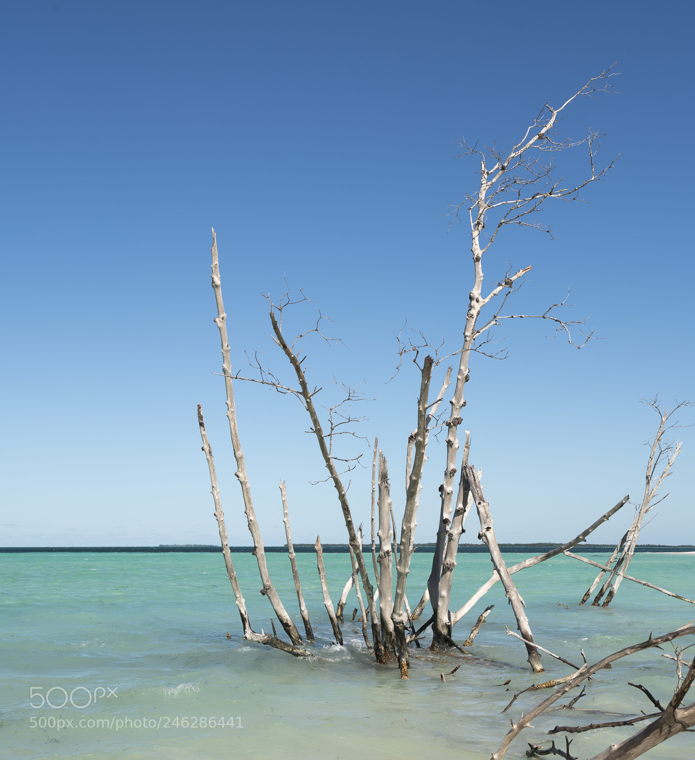 Sony a7R II sample photo. The beach at cayo photography