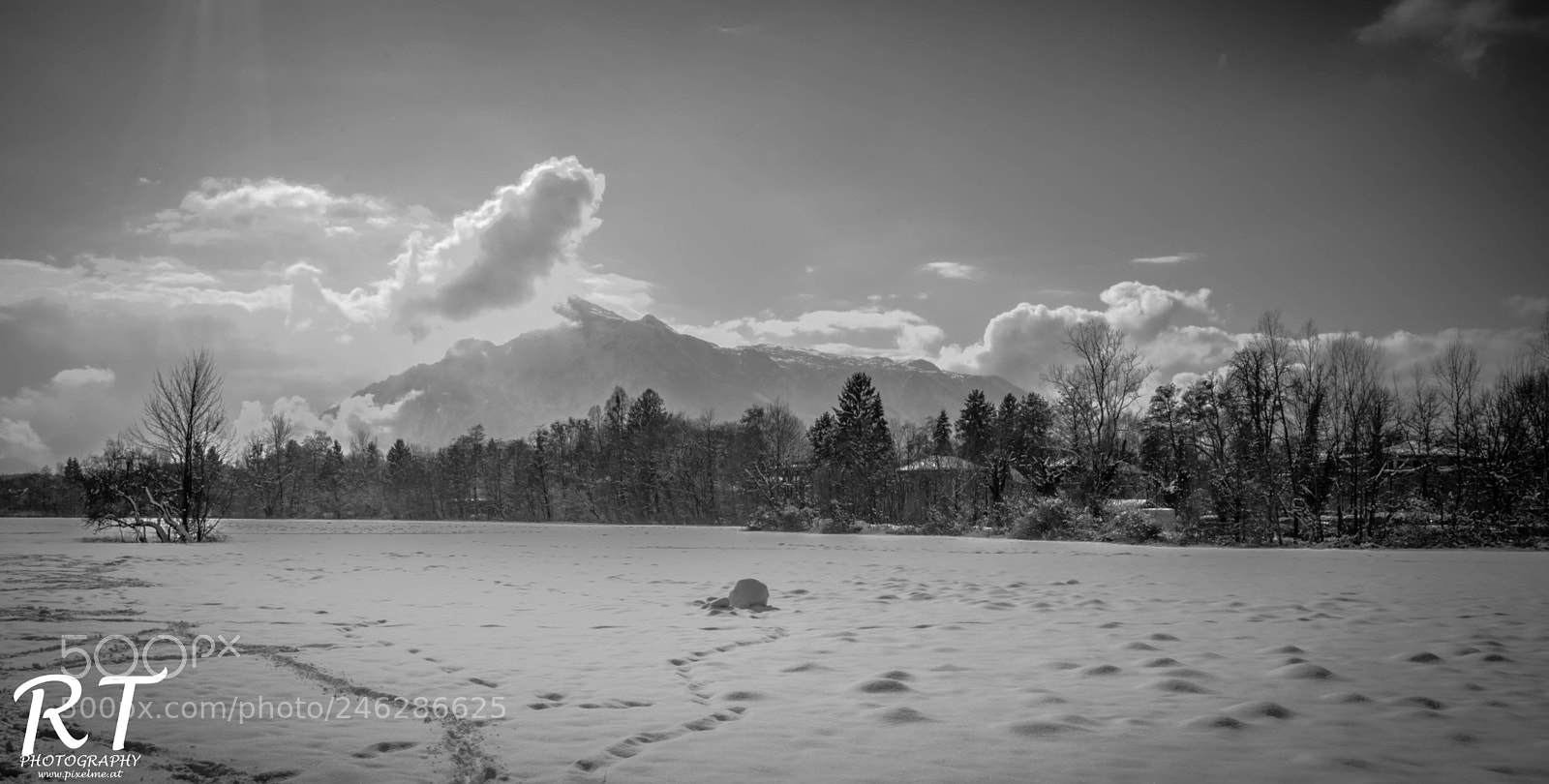 Nikon D7100 sample photo. Winterday photography