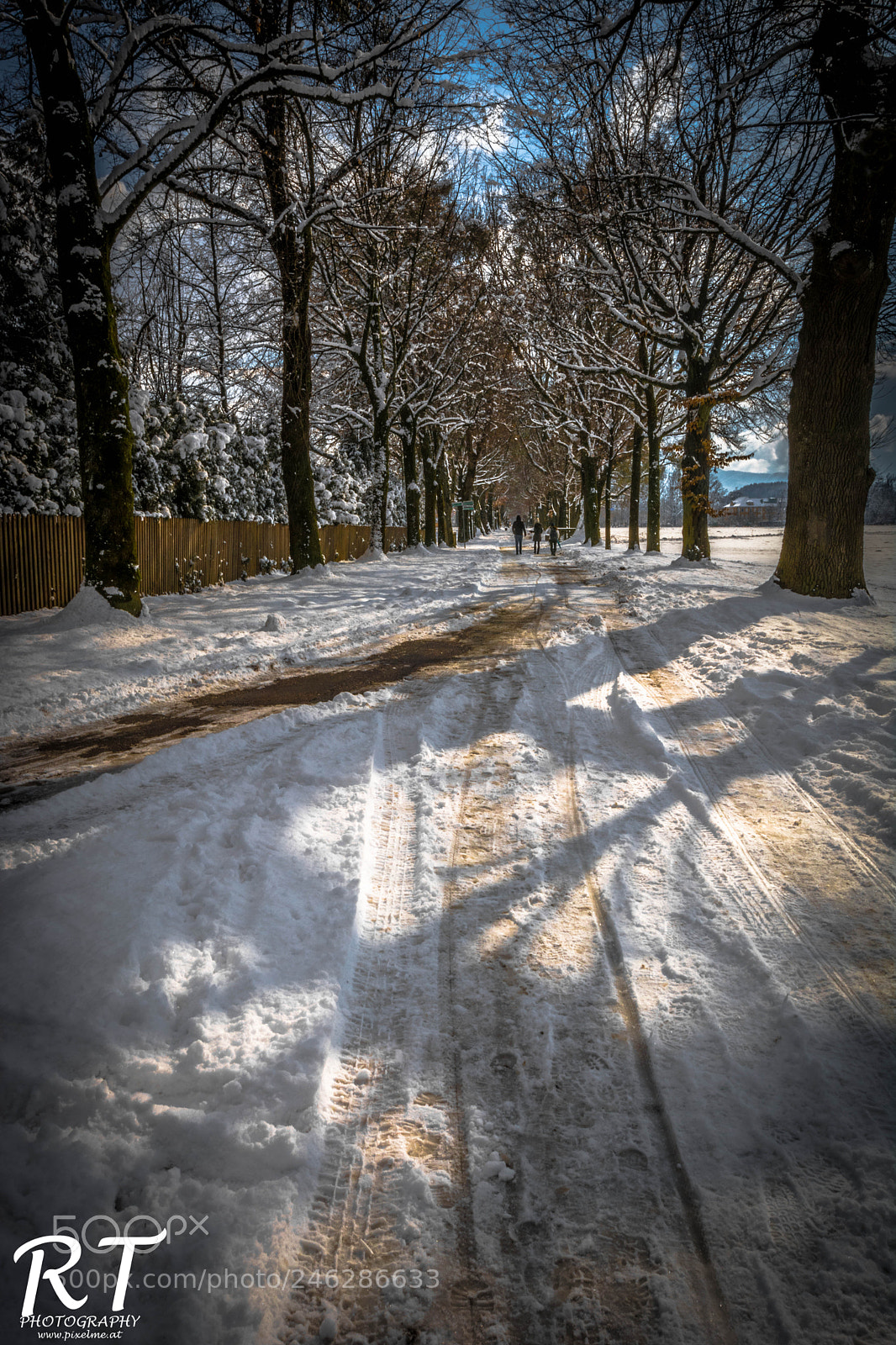 Nikon D7100 sample photo. Winterday photography