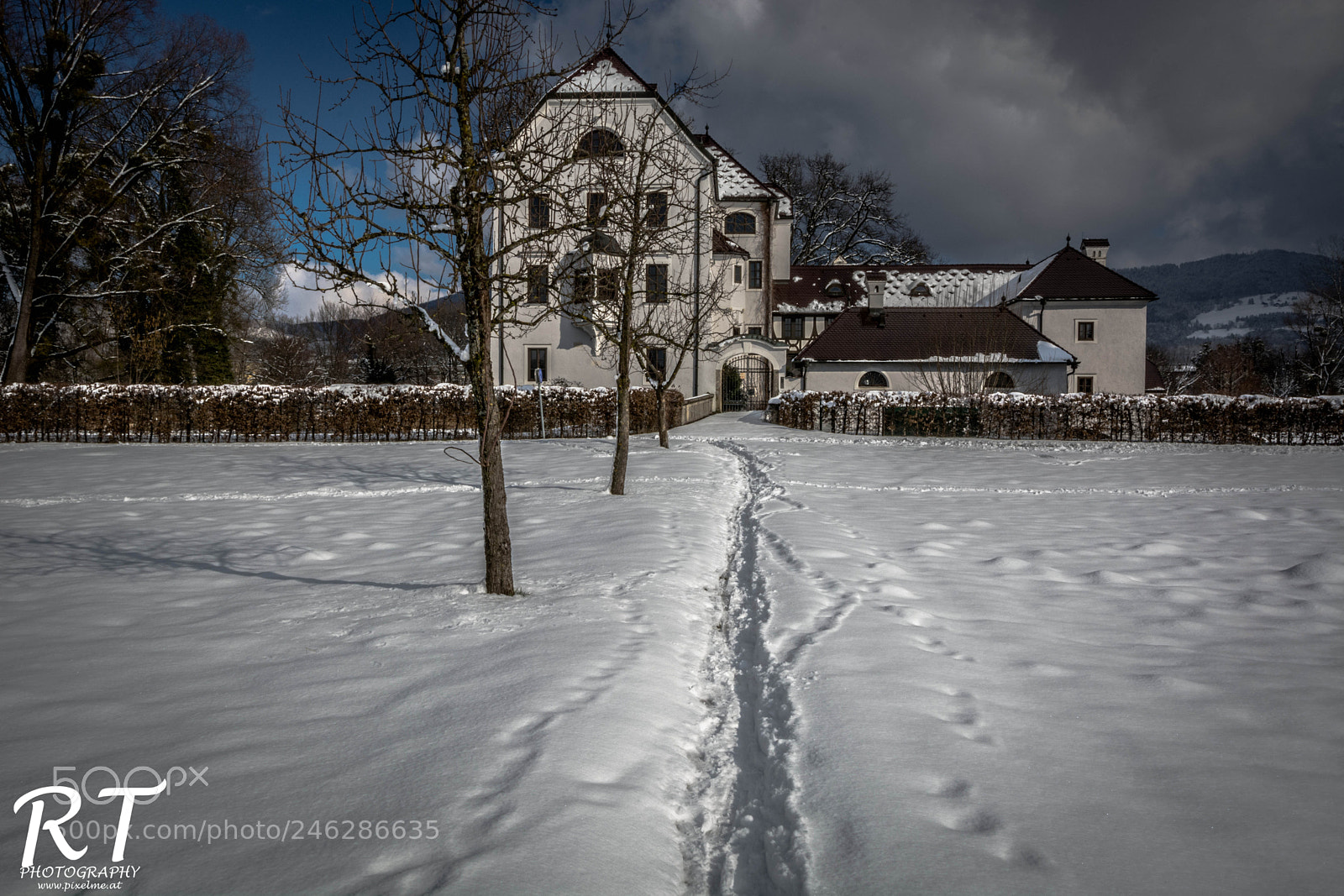 Nikon D7100 sample photo. Winterday photography