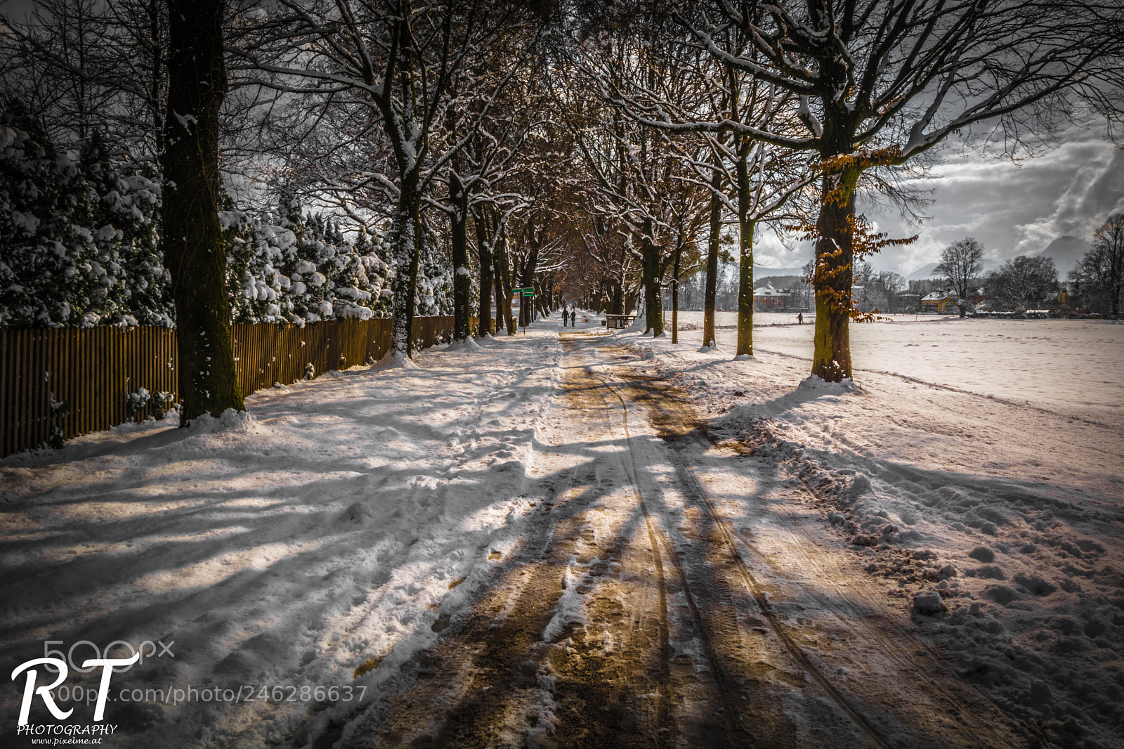 Nikon D7100 sample photo. Winterday photography