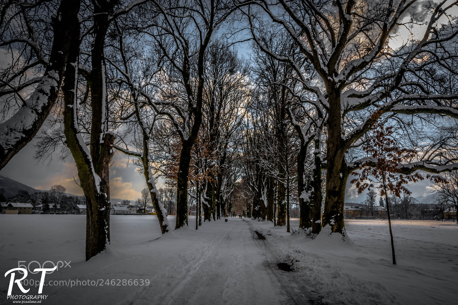 Nikon D7100 sample photo. Winterday photography