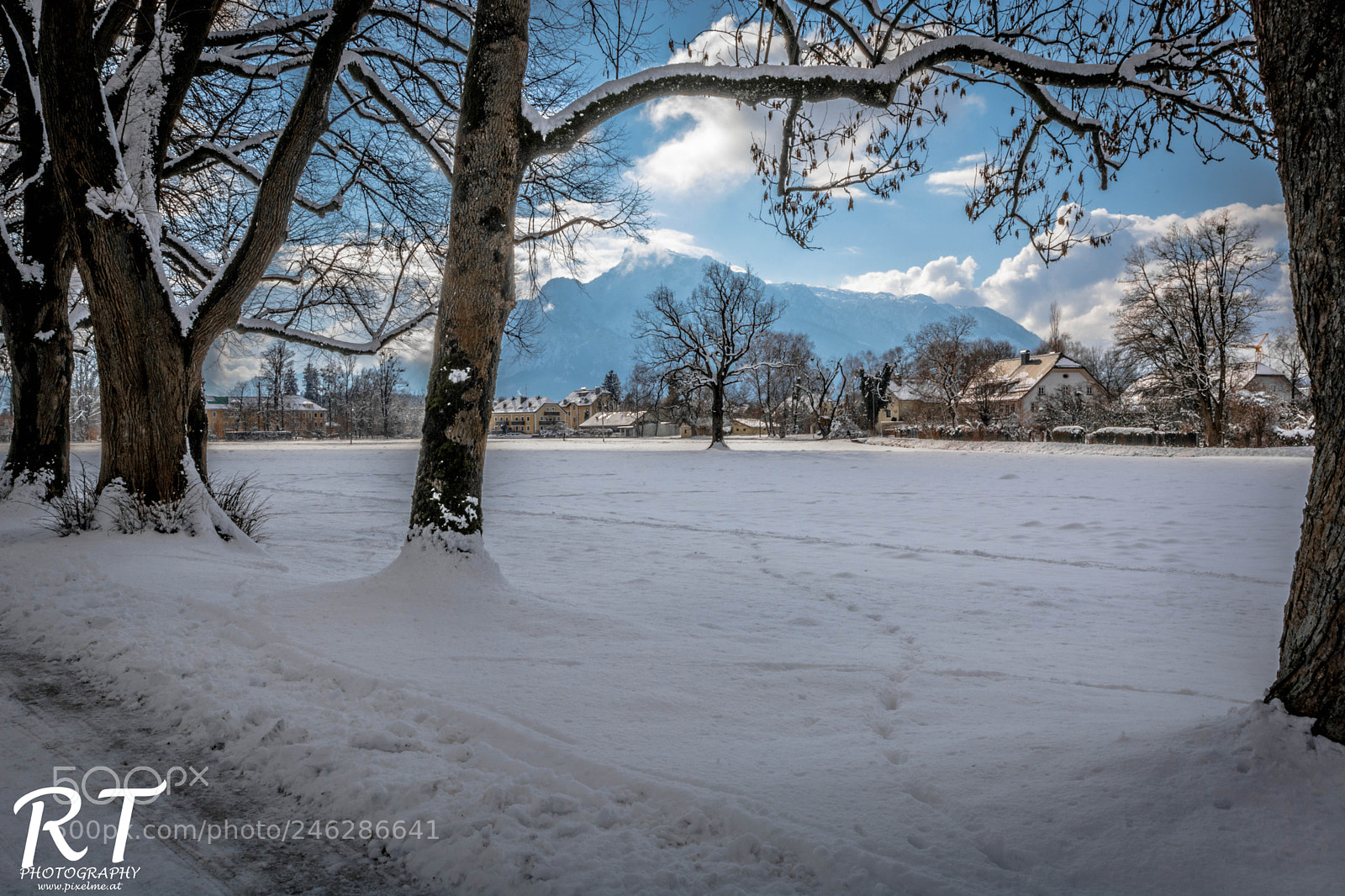 Nikon D7100 sample photo. Winterday photography