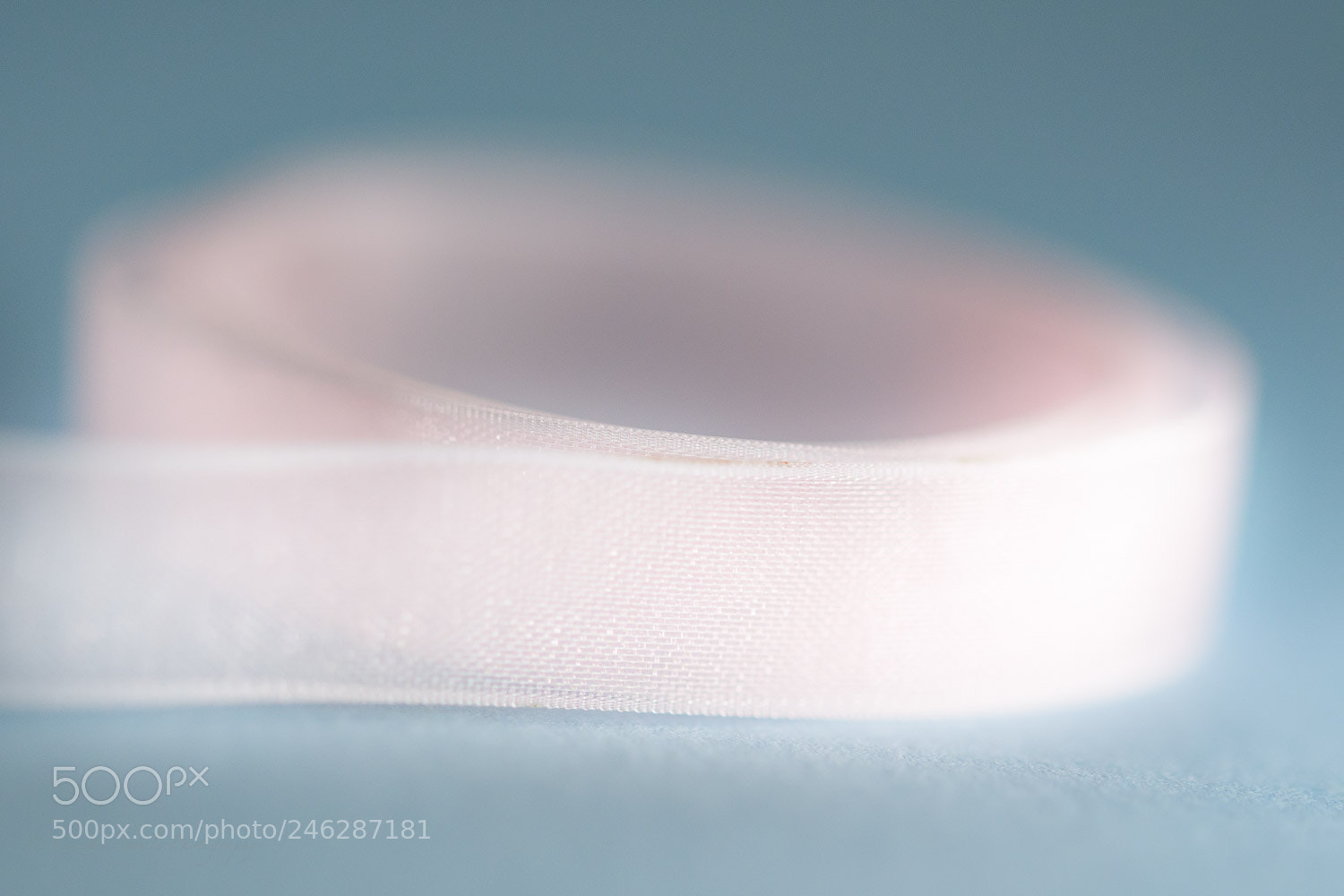 Nikon D500 sample photo. Rolled up photography