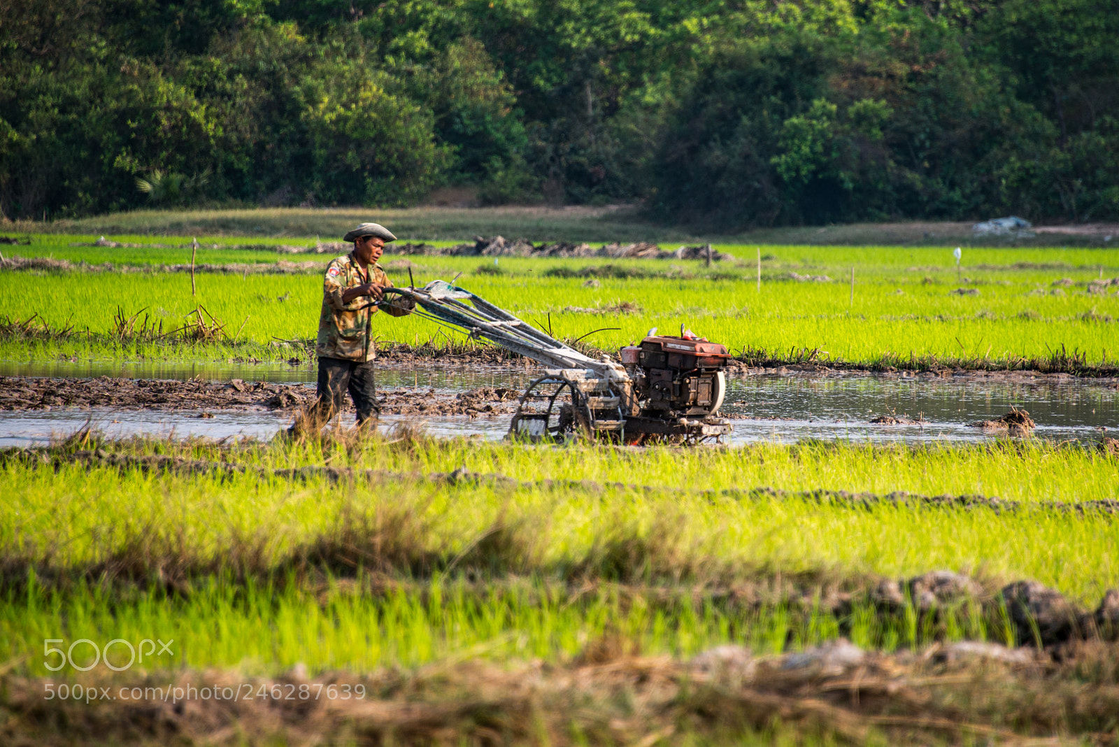 Nikon D800 sample photo. Siem reap countryside photography