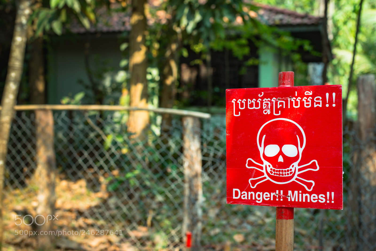 Nikon D800 sample photo. Siem reap countryside photography