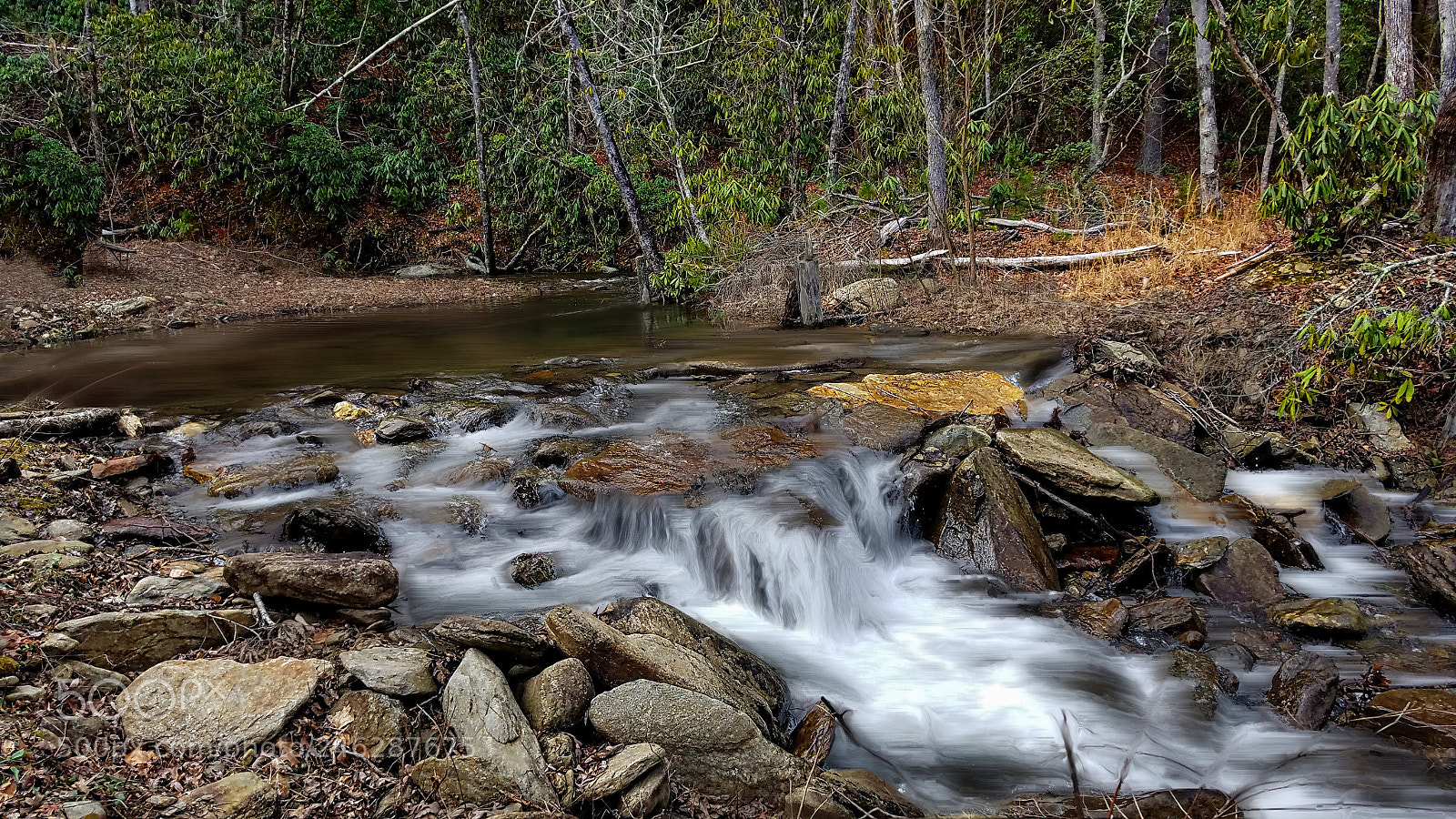 Samsung Galaxy S7 sample photo. Fodder creek photography