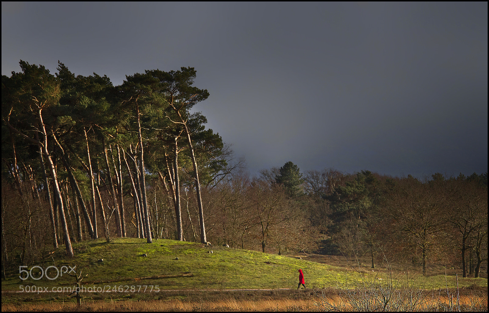 Canon EOS 700D (EOS Rebel T5i / EOS Kiss X7i) sample photo. Little red riding hood photography