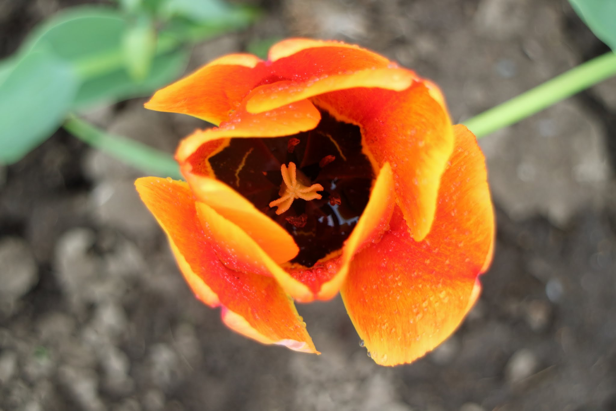 Canon EOS M3 sample photo. Untitled photography