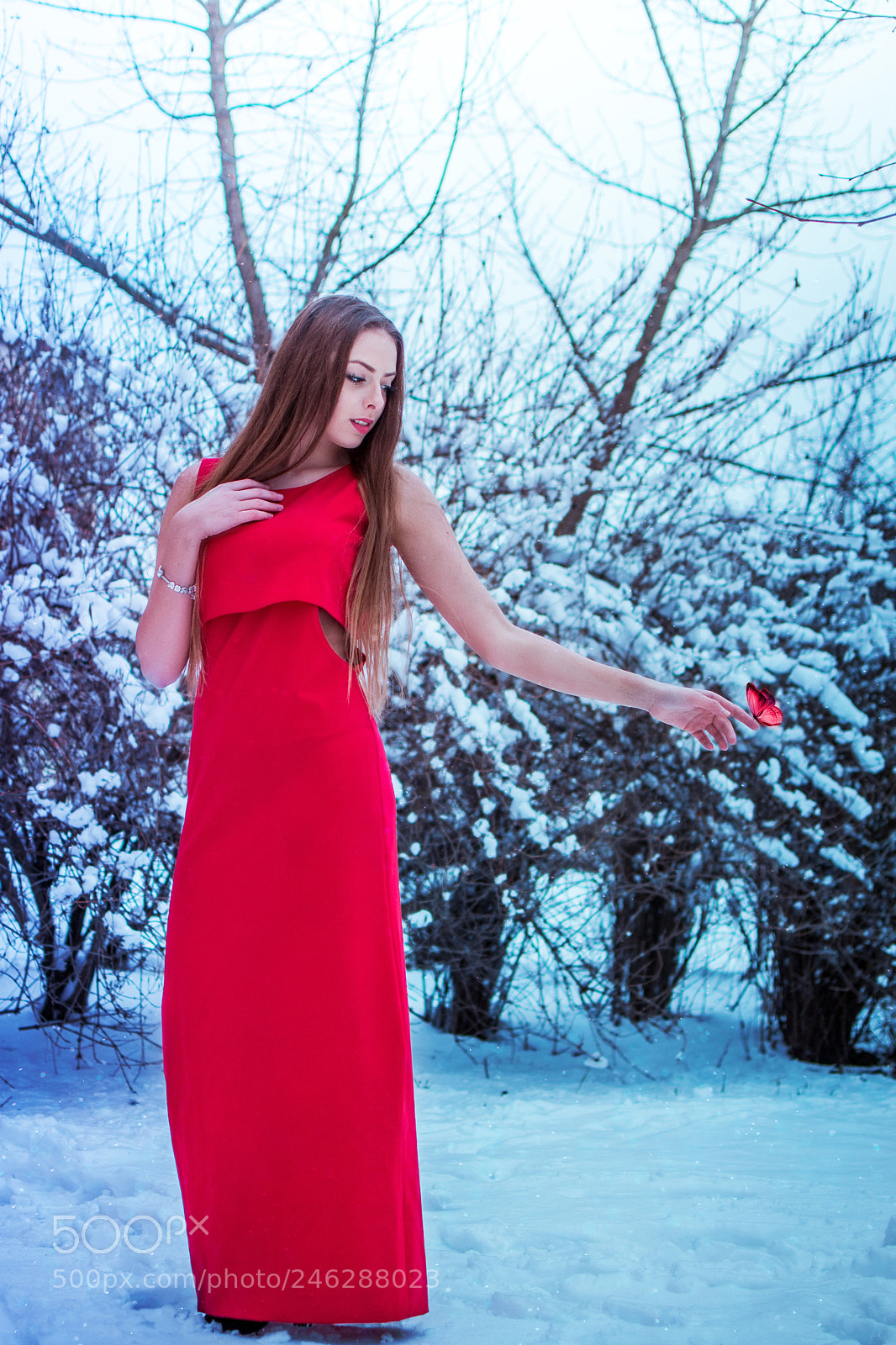Nikon D3100 sample photo. Barbora photography