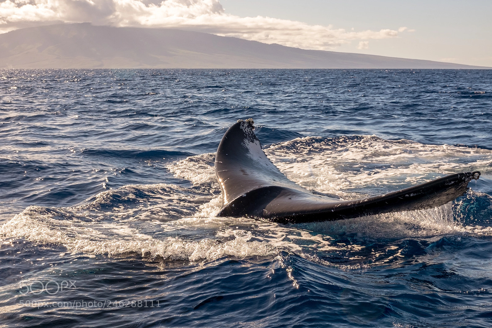 Fujifilm X100T sample photo. Hawaii sunset visitor photography