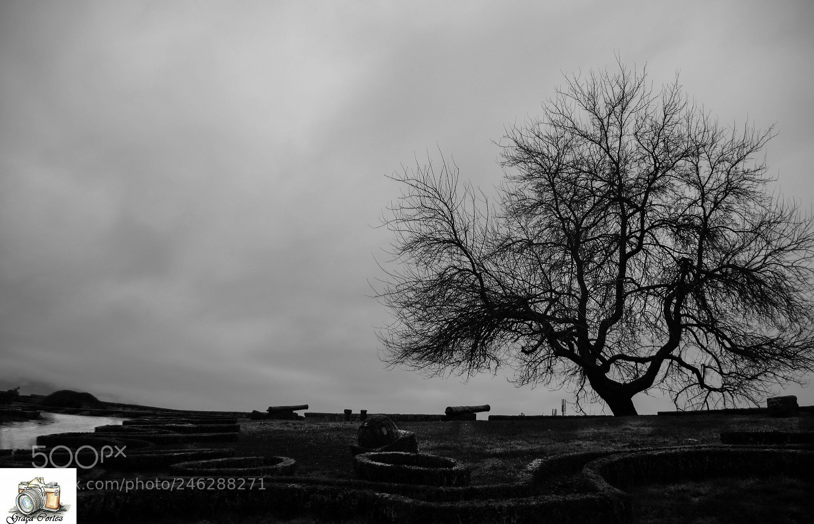 Canon EOS 7D Mark II sample photo. Dark sky photography