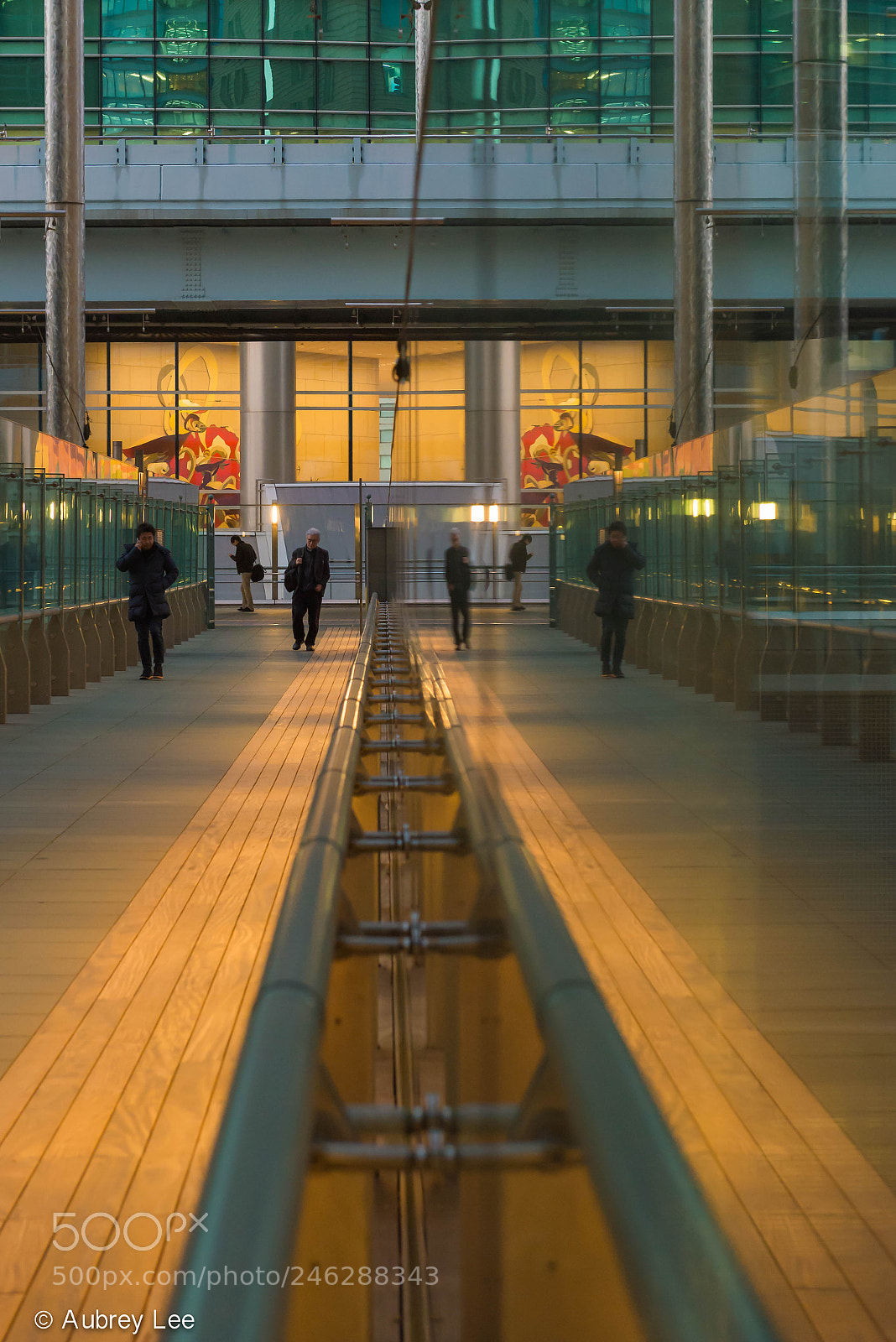 Nikon D610 sample photo. Doubled photography